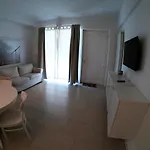Orchidea Civitanova Marche